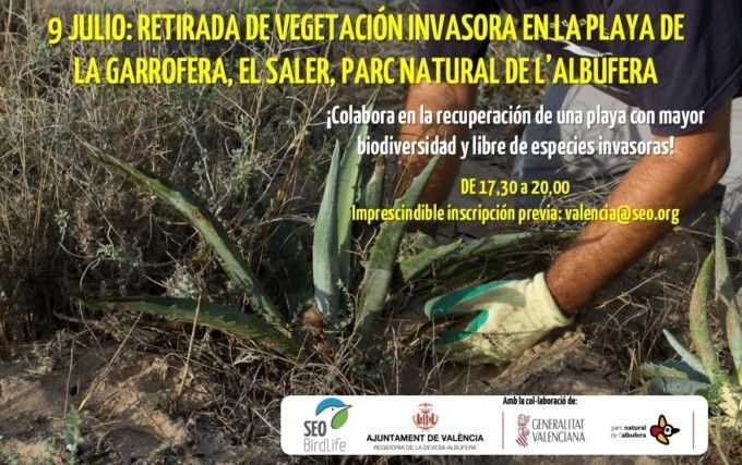 cartell activitat Platja de la Garrofera CAS