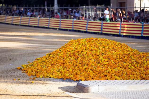 13620232_842396485905370_298494122047216367_n