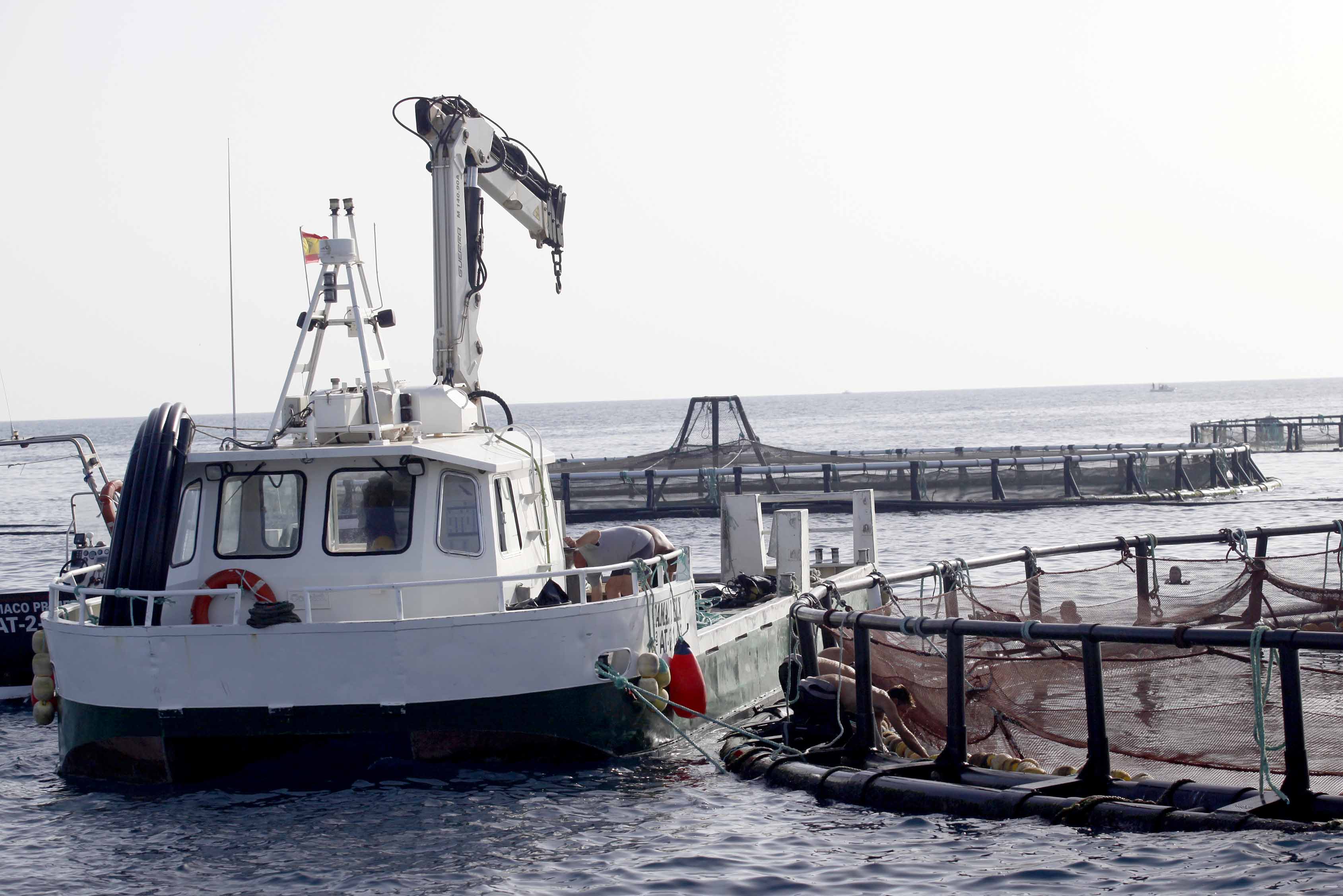 Vaixell en una piscifactoria