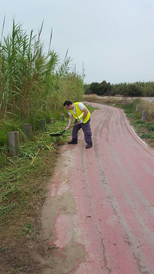 carril bici carril bici