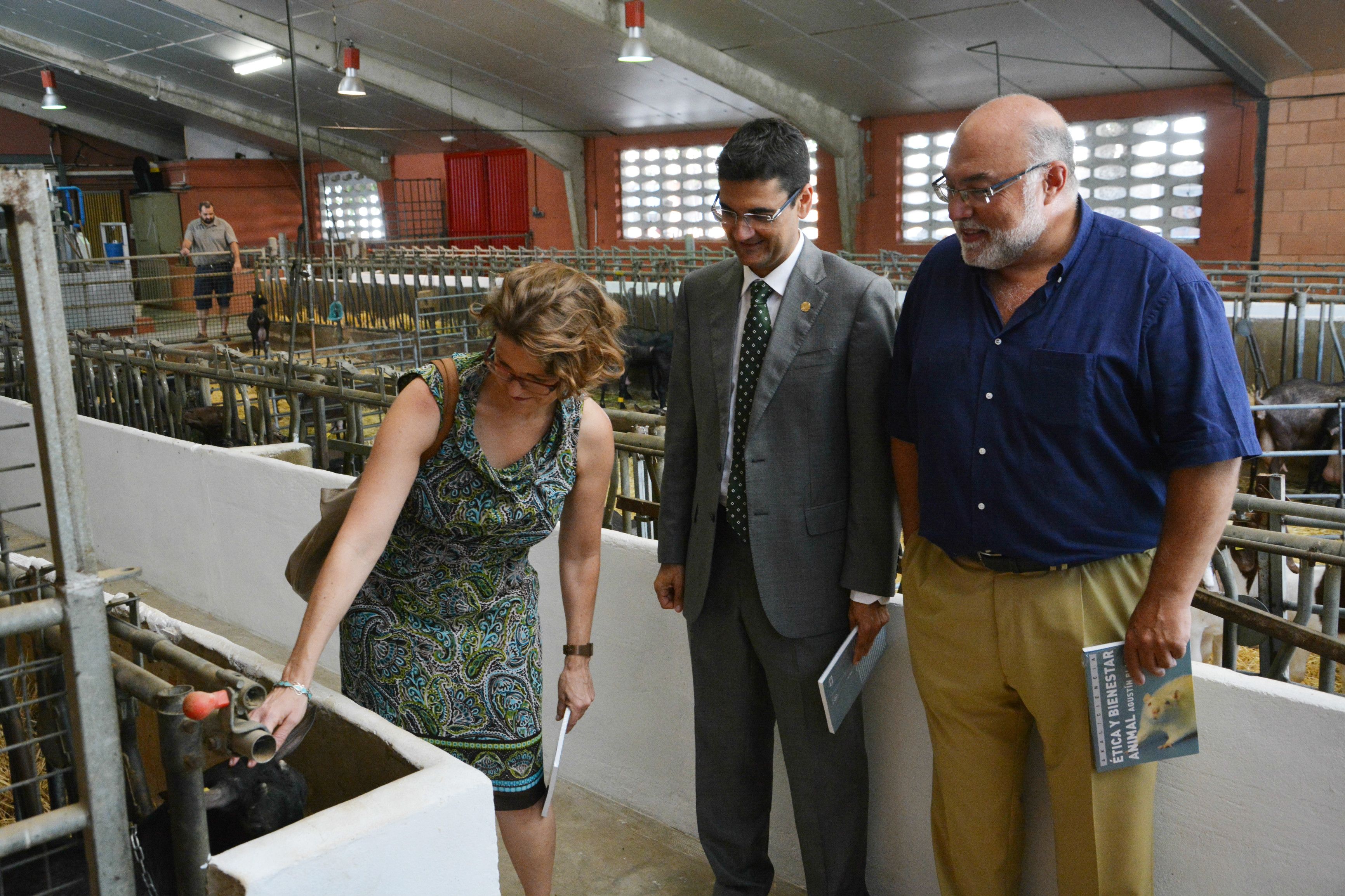 La consellera de Agricultura, Medio Ambiente, Cambio Climático y