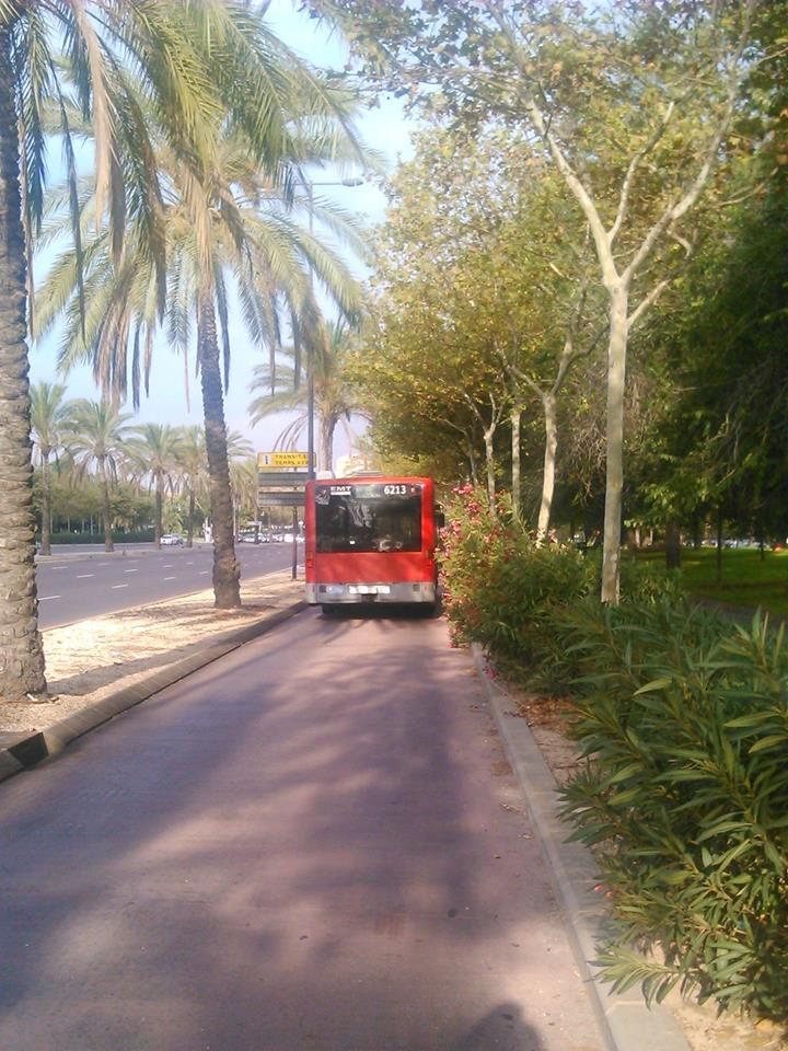 Carril Bus Bulevard Sud 1 (1)