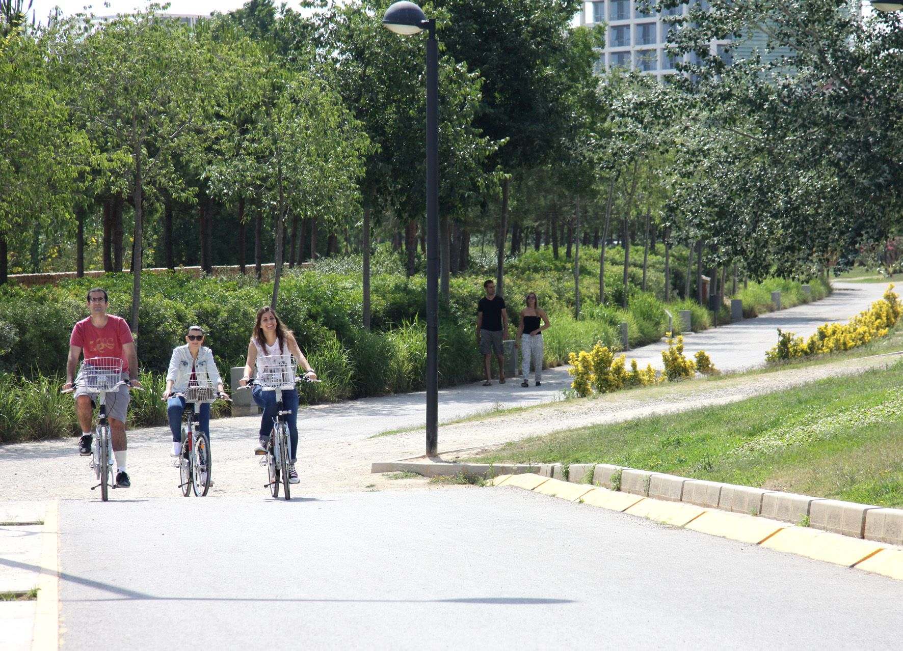 Movilidad Segura y Sostenible