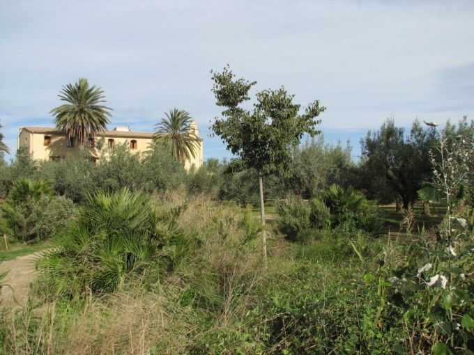 jornada_paisaje_ceacv_50_01