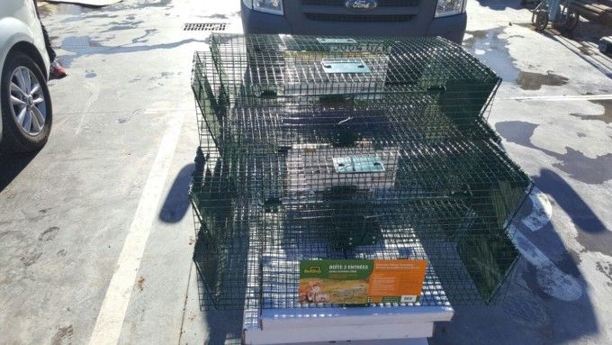 1229-mejoras-benimamet4