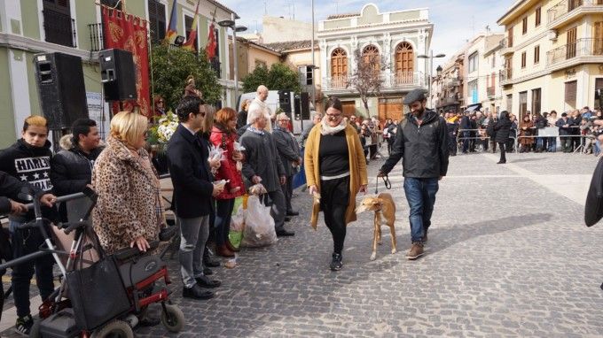 fiestas-san-antonio-abad