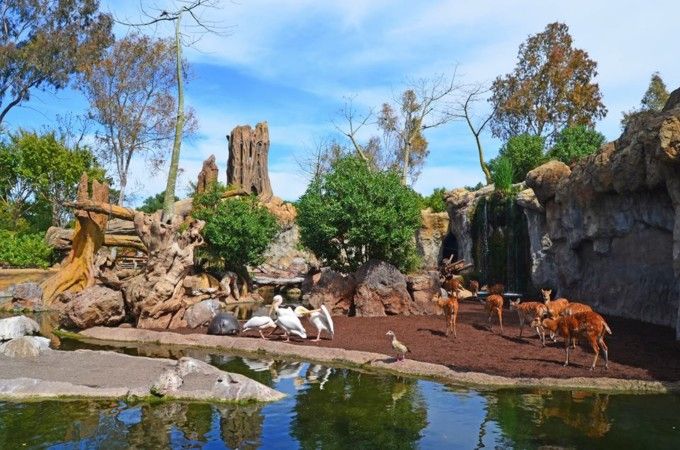 Parque acuático en Valencia