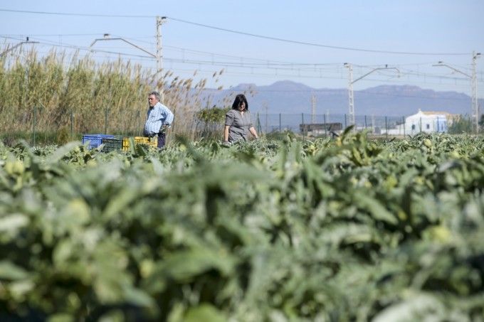 agric_la_renta_agraria_valenciana_foto