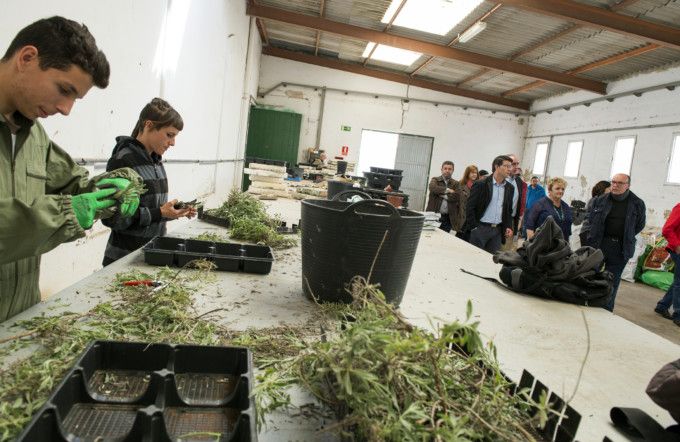 60oaniv-escuela-capataces-catarroja-foto_abulaila-8