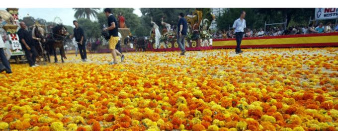 Claveles Batalla Flores