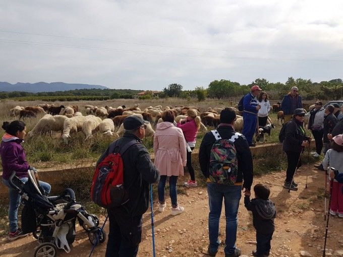 marcha_trashumacia_3