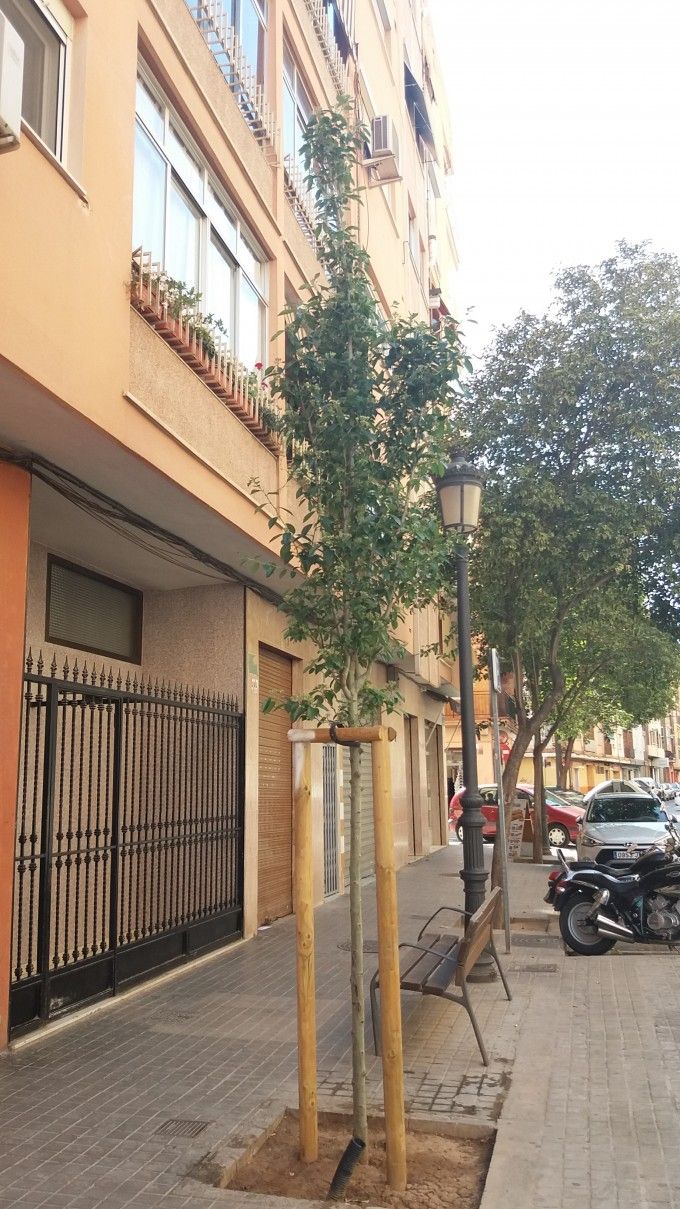 Una calle del barrio de Torrefiel en València