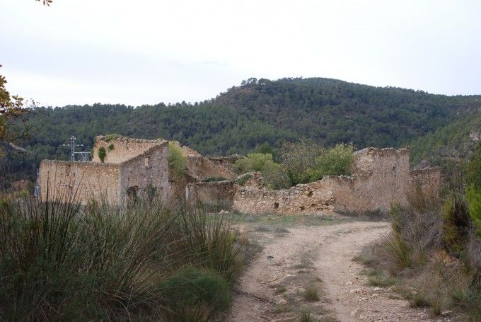 Hórtola nov 2016 (3)