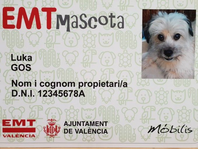 tarjeta-mascota-emt