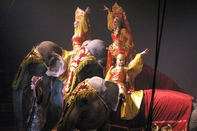 Un espectacle de circ amb animals