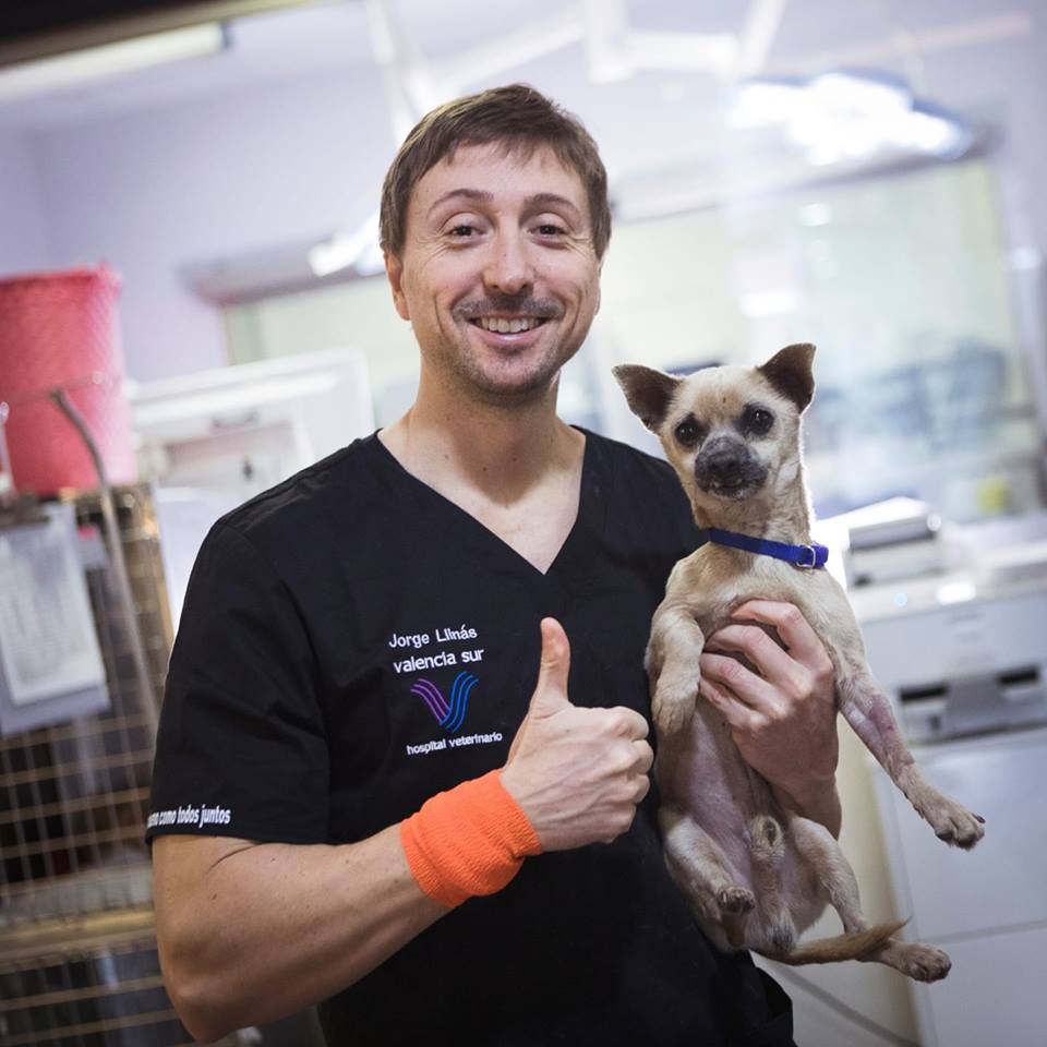 director-hospital-veterinario-valencia-sur