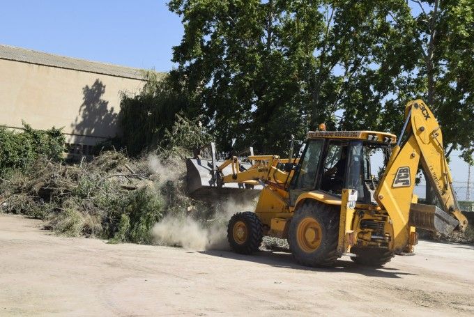 maria marzo burjassot