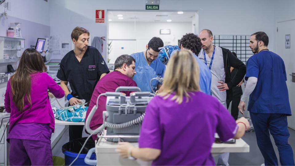 equipo-hospital-veterinario-horta-sur