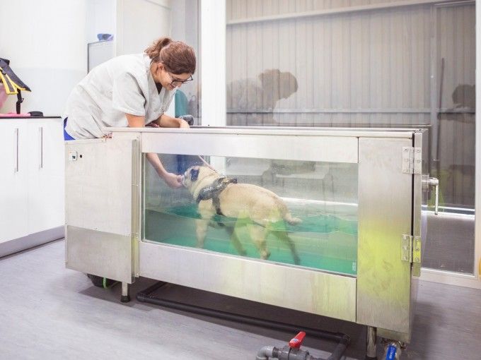 hospital-veterinario-horta-sur