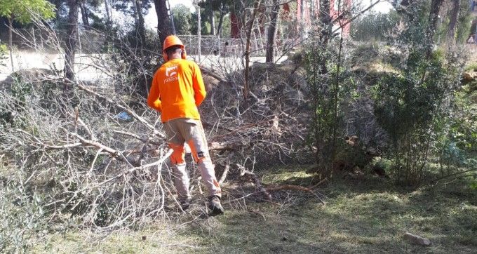 Franja Seguridad1(1)