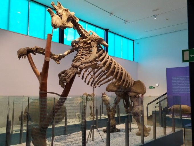 Museo ciencias naturales valencia viveros