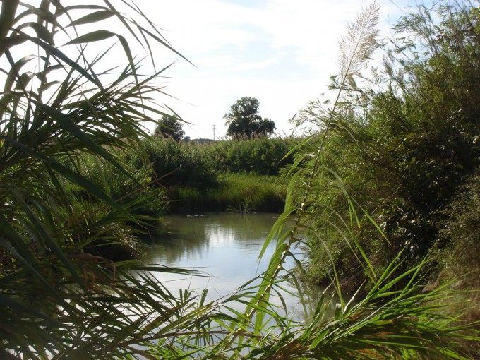 Punto de vertido agua depurada
