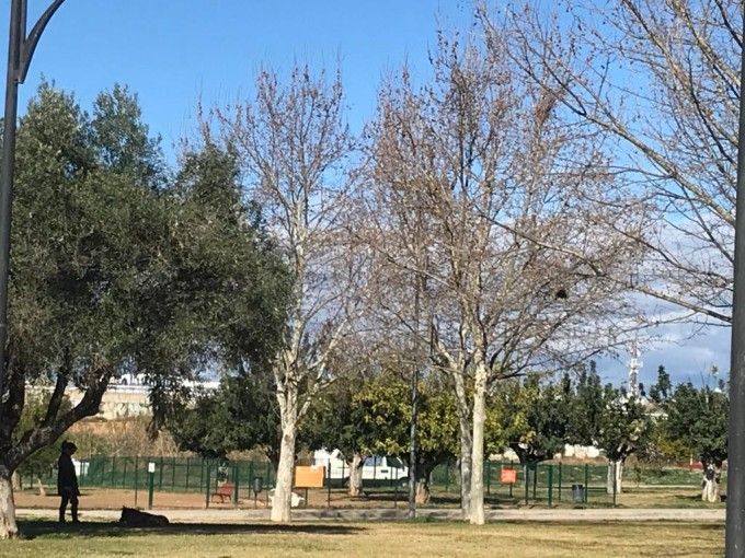 Zona de esparcimiento canino