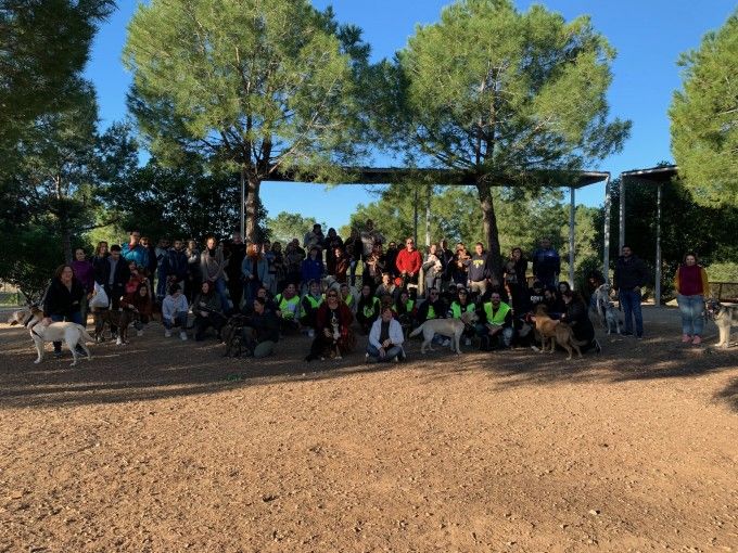 Curso obediencia canina Lloma Llarga