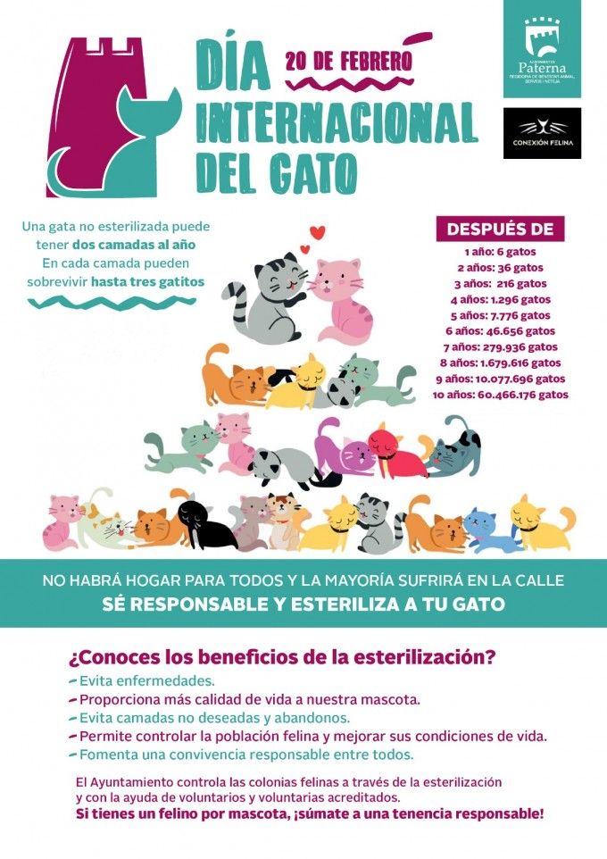 Día Internacional Gato