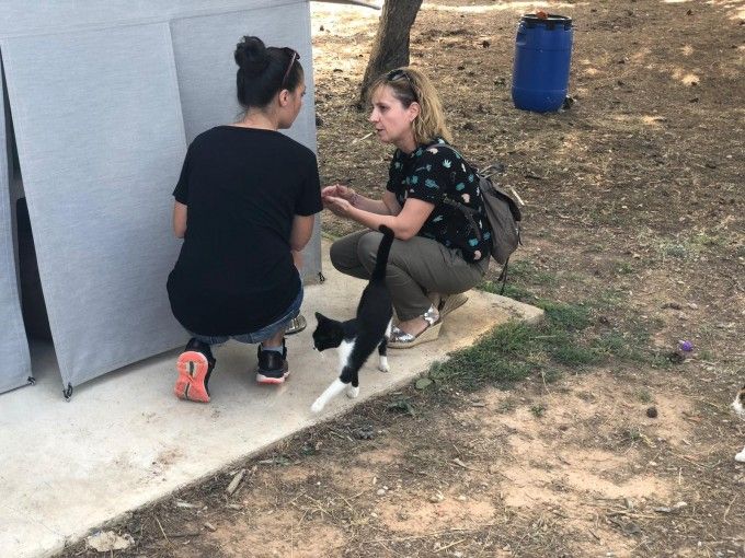 Merche Navarro visitando la colonia felina de Táctica