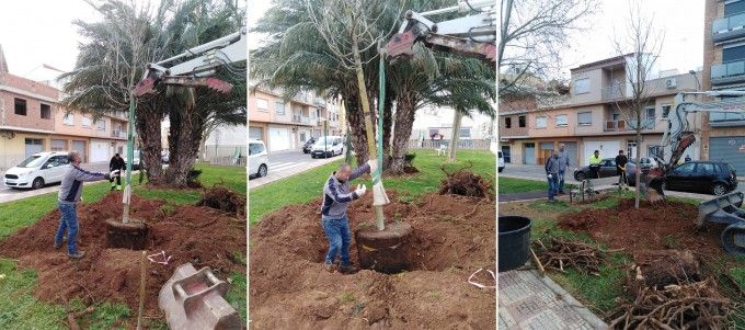 MantenimentNeteja_06032020_05