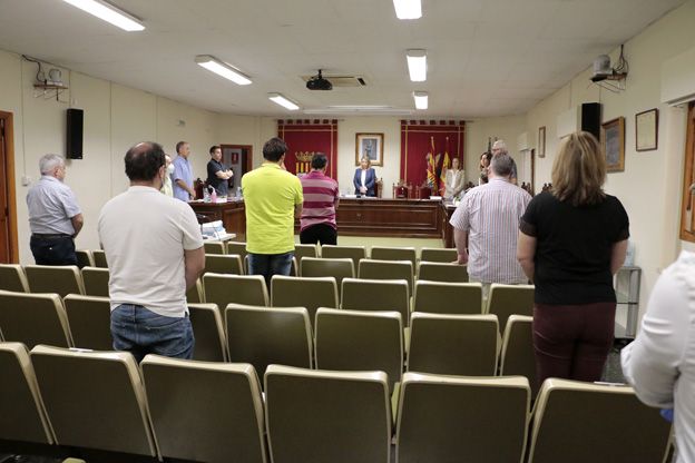 285-un-pleno-extraordinario-1