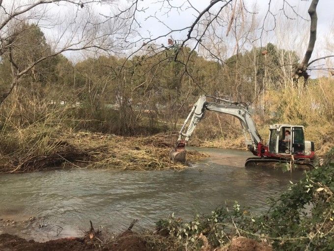 Retirada de cañas en La Vallesa