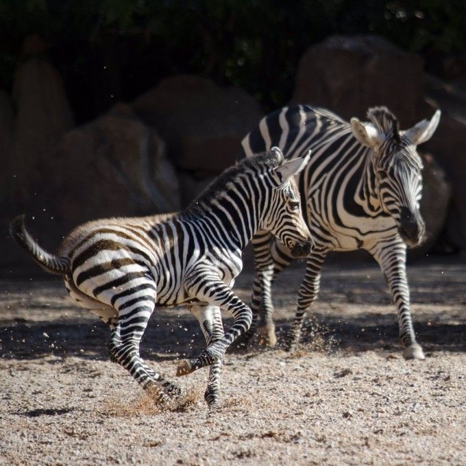 fotonoticia_20200903154815_1920