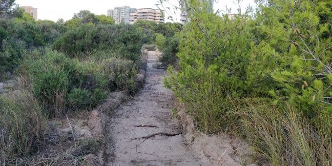 0909 Nova passarel.la Devesa (1)