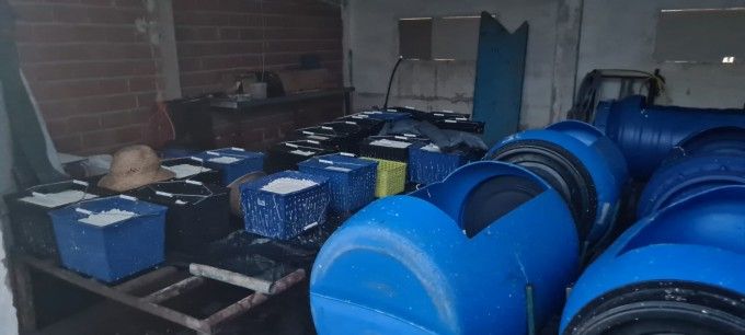 incautacion_fabrica_quesos