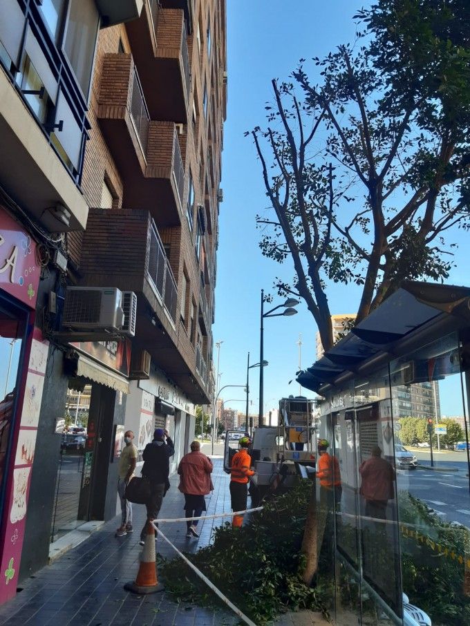 1018 Poda Peris i Valero 3