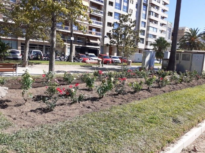 1027 Rossers Albereda (2)