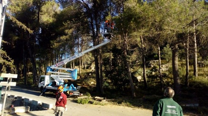 les foies simat de la valldigna