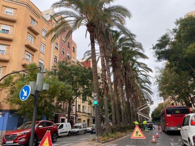 1104 Poda carrer Ruaya3