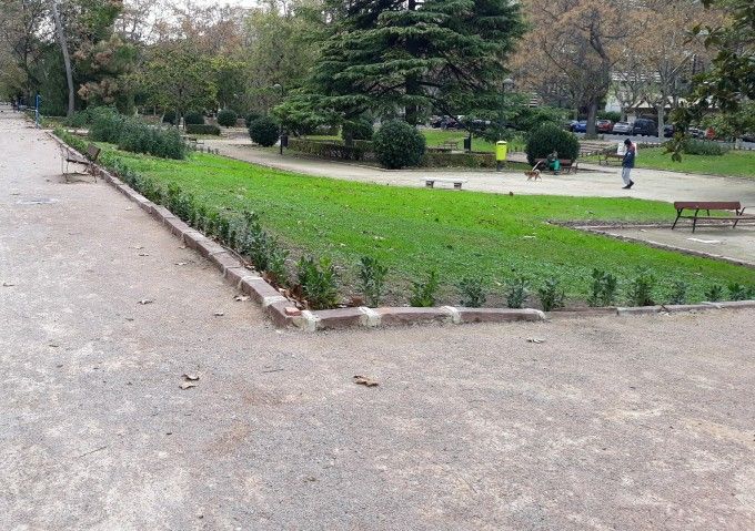 1208 Treballs Jardineria Blasco Ibáñez