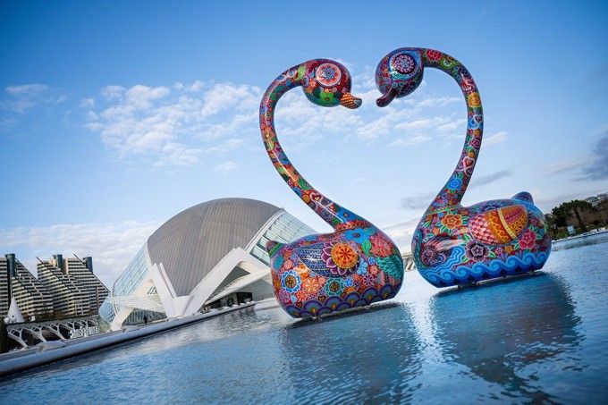 amor de cisne ciutat de les arts