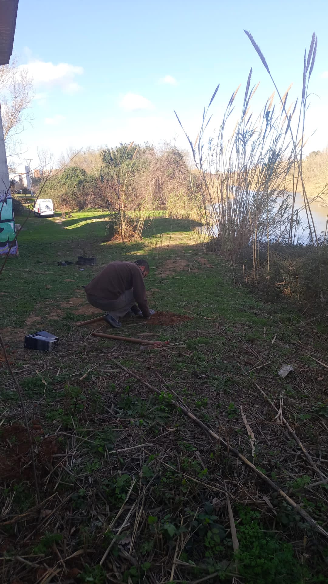 Plantación Riu Túria