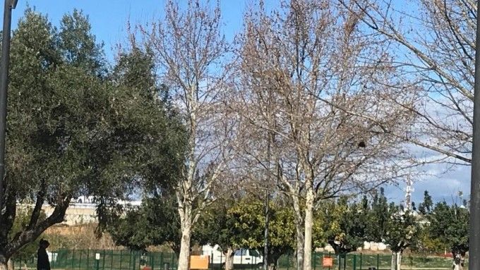 Zona de esparcimiento canino en Paterna