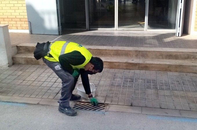 Mosquito Tratamiento benetússer