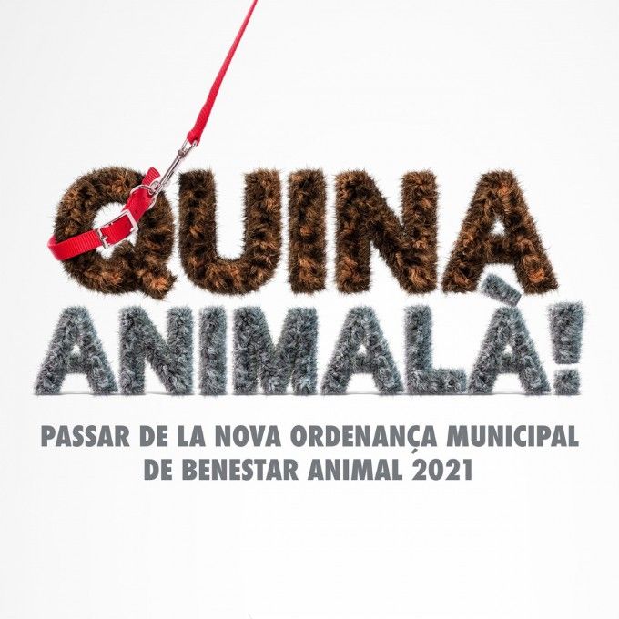 thumbnail_Facebook-Generico-square