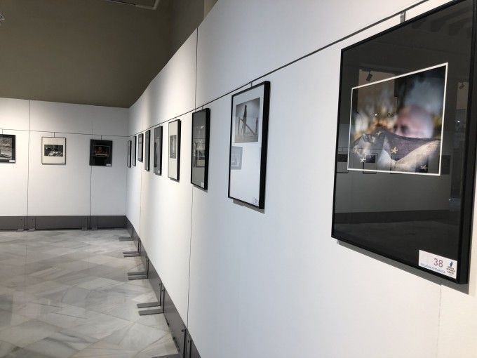 Exposicions Casa Cultura