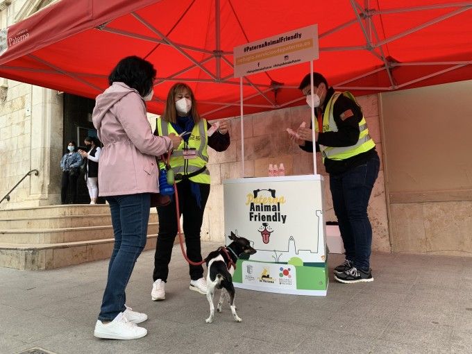 Campaña Paterna Animal Friendly 01