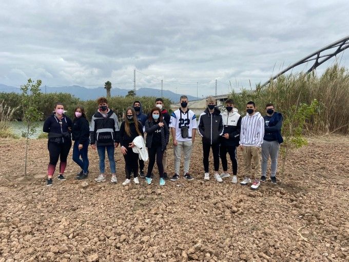 cullera plantacion arboles