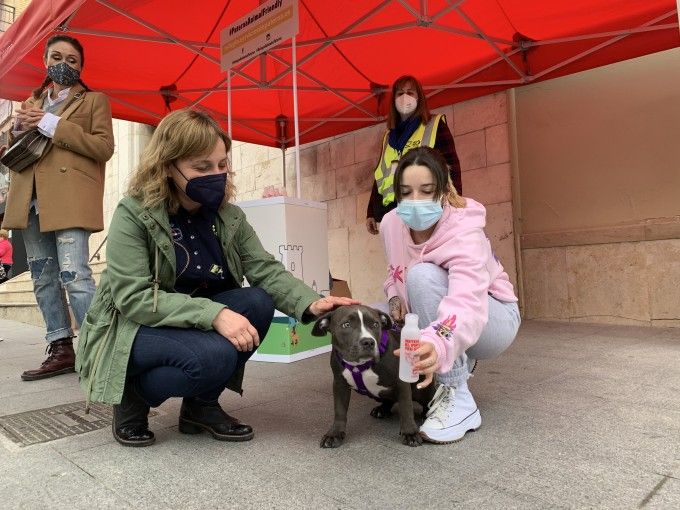 paterna animal friendly